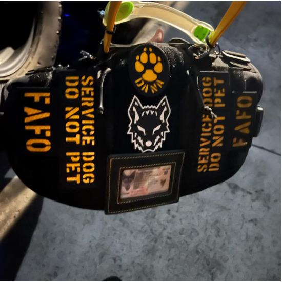 Klett-Patches für Hunde - K9 Name Laser Patch