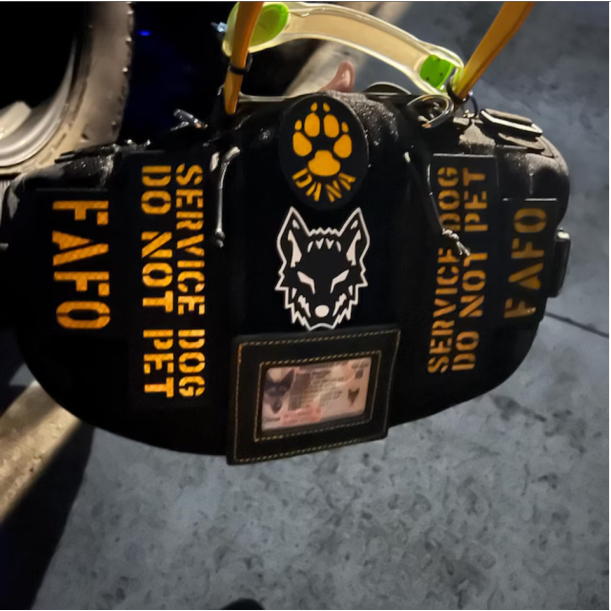 Your Name Velcro Patches for Dogs - Tactical K9 Harness & Gear Design