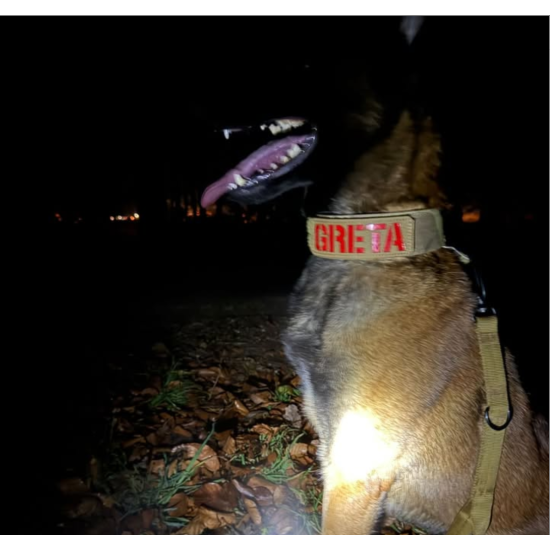 Individuelle Hunde-Patches - Personalisierter Name & Kennzeichnung